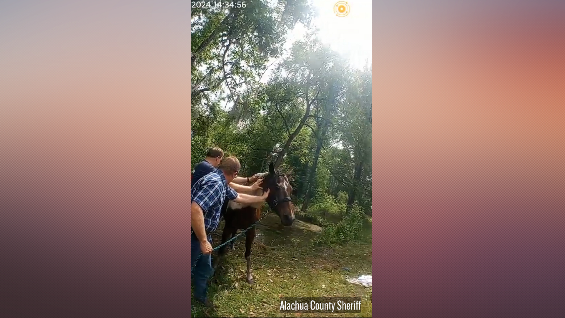 First responders rescue horse